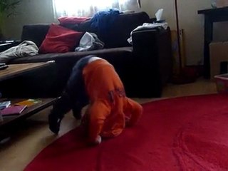 noé fait la galipette