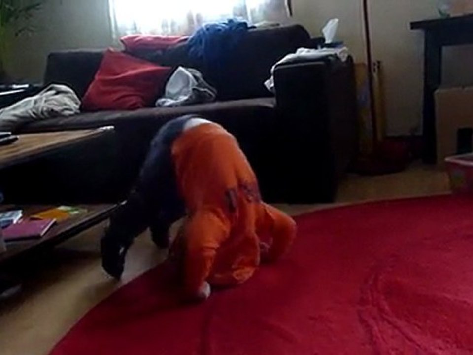 noé fait la galipette