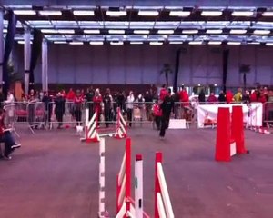 Morgane Bistrakou Concours lisieux 2011