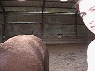 mon chval qui me suit