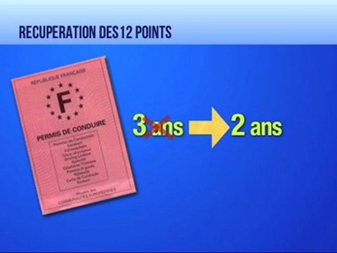 Avocat permis de conduire : délais de récupération des points et du permis de conduire