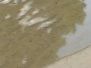 Seconds of Eternity (03/100)