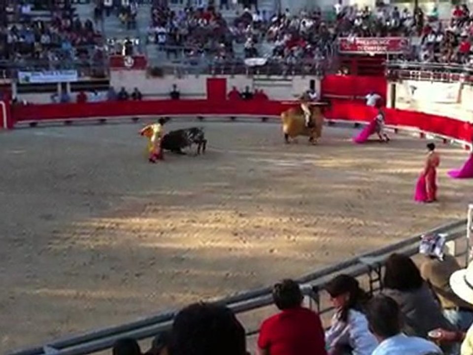 St Martin de Crau 2011 : Tardieu pique