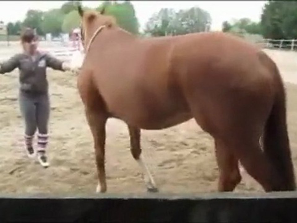 Qalif travail en liberté