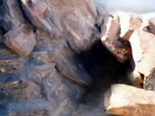 8 - AHMED MUHAMMED MUSTAFA (ENSTRÜMANTEL GÖRÜNTÜ)