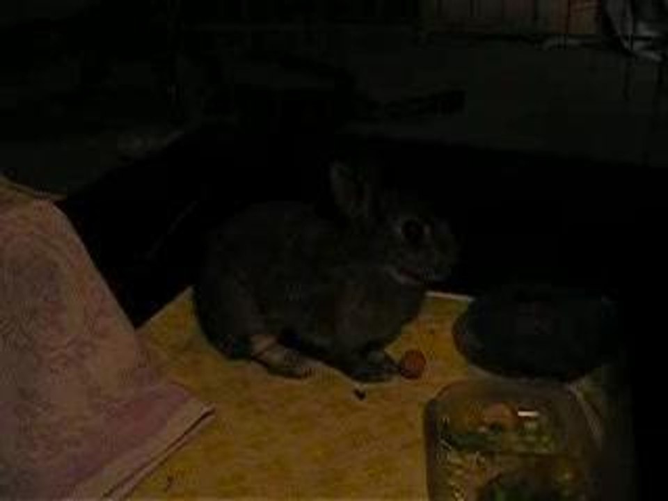 Skrollan nach OP 11.8.06