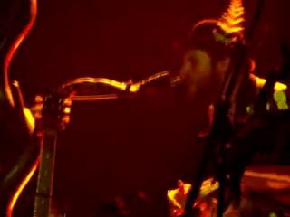 Yodelice et son arbre le 13.04.11  a Lille