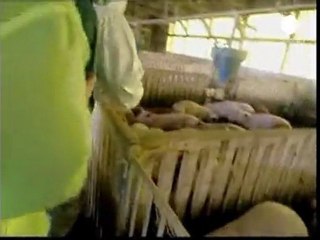 Japonya'da 25 bin kişilik ekip kayıpları arıyor