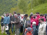 Transhumance en Hautes Pyrénées