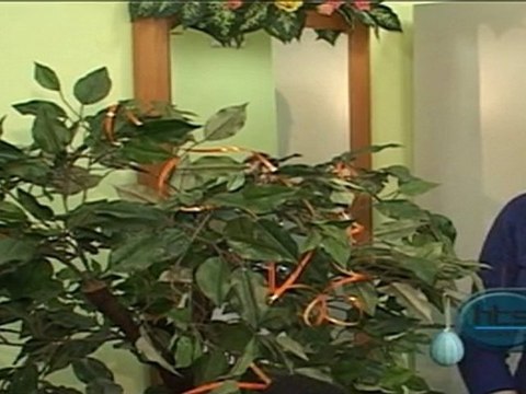 194 emisja Poniedzialek 25.04.2011 cz 7