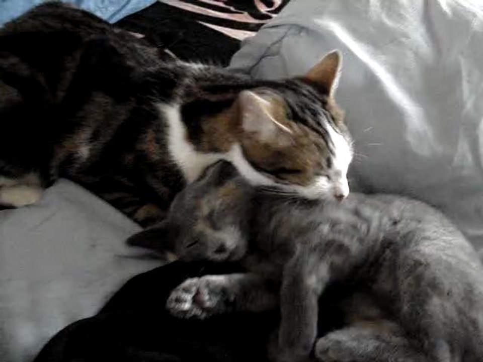 Ozzie et Diva