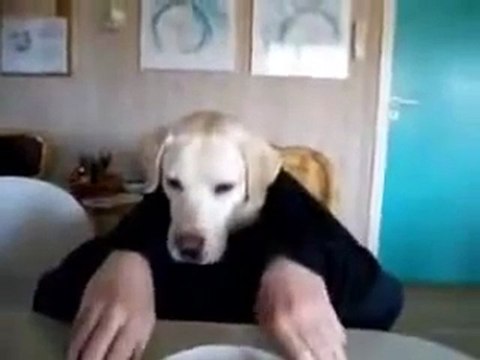 izlenme rekoru kıran kopek adam