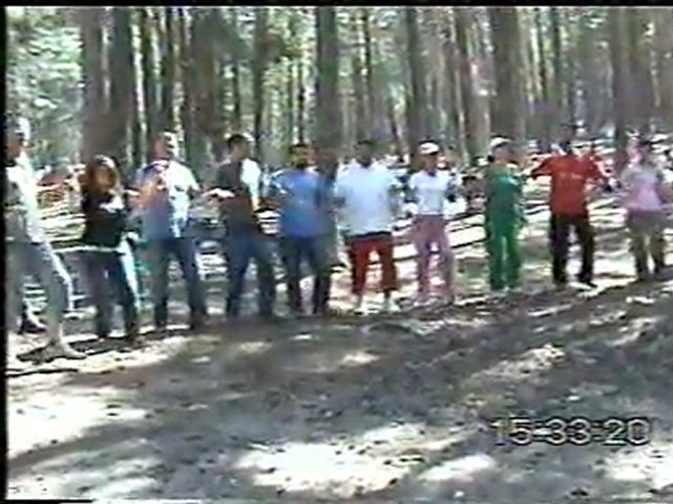 5  3