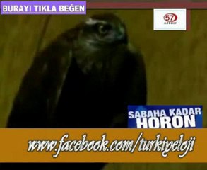 Atmaca Horon Oynarsa :)))