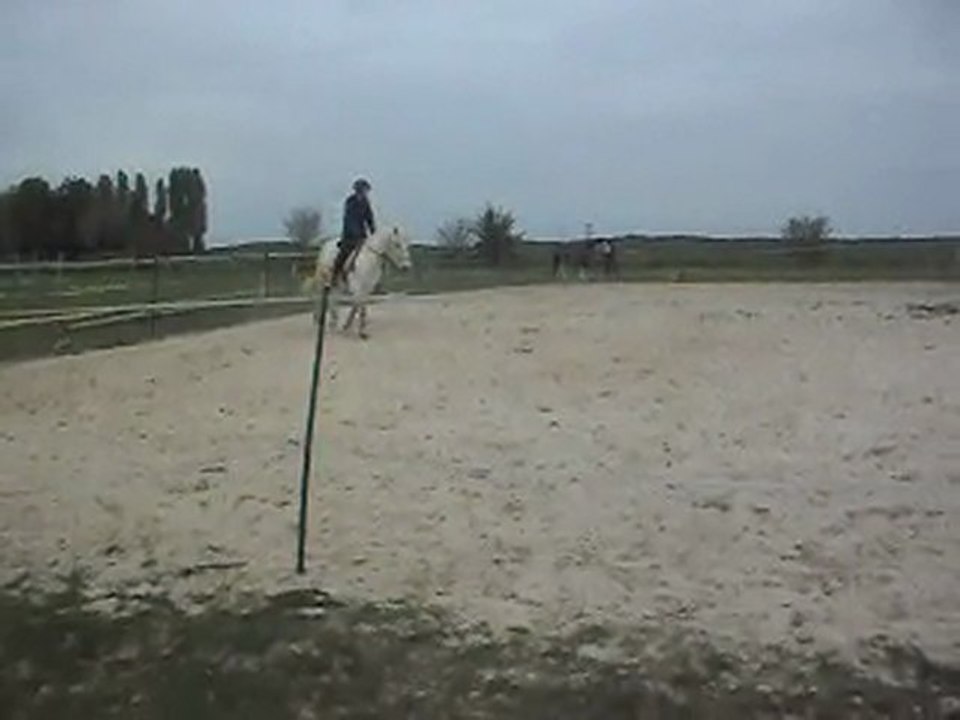 EQUITATION. Détente G5 dressage Kalou par Camille 13 04 2011