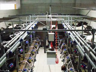 NMS SAĞIM ODALARI FOTO