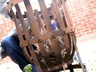 CreditCardMall.com Funny Commercial Online Credit Card Application