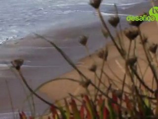 Axi Muniain Nazaré (Portugal)/Naturgas Big Wave 2011