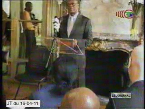 Brazzaville abritera un sommet des trois bassins forestiers du monde