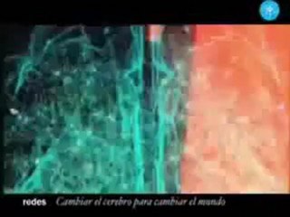 Cambiar el cerebro para cambiar el mundo  1/3