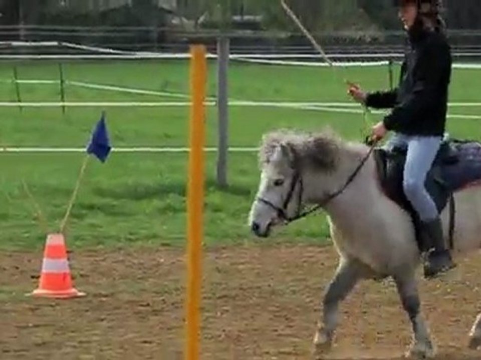 Pferde Reiterspiele Leipzig