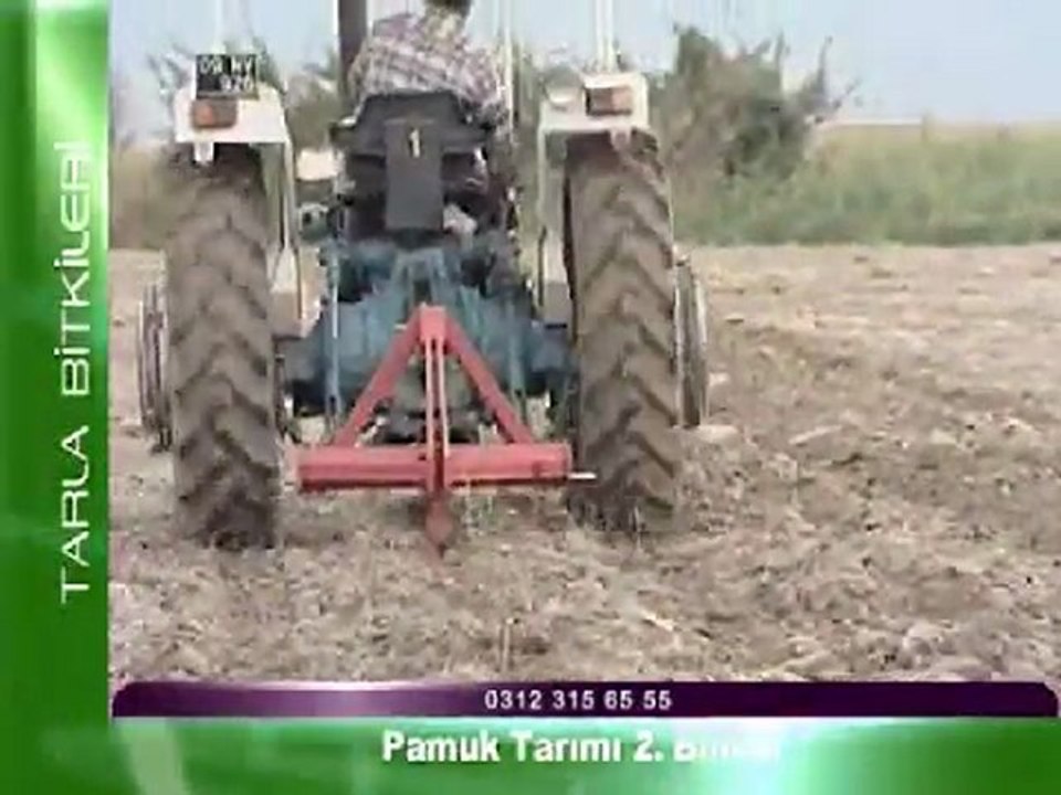 pamuk tarimi 2