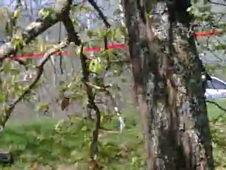 63ème rally de charbonniere