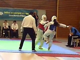 TKD saint martin d'here 2011