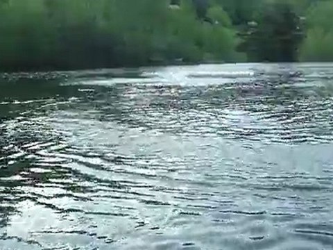 Rapido Robbe 2 170411