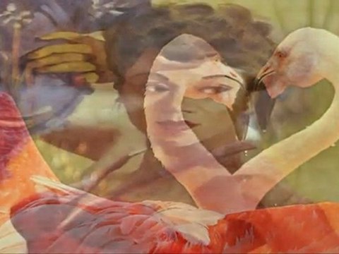 Sarah Vaughan A Lover S Concerto Video Dailymotion