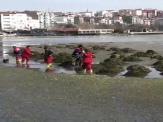 Sahilde Bahar Temizliği