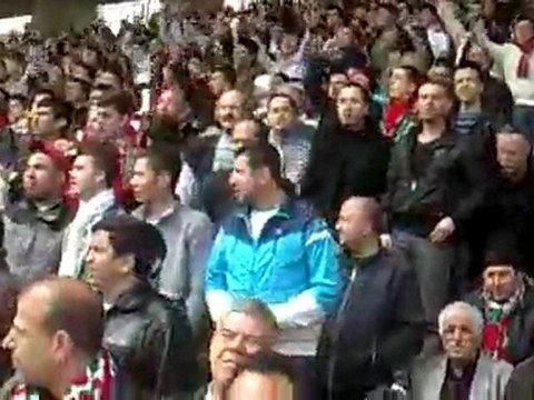 Omuz omuza - bayrampasalilar.com