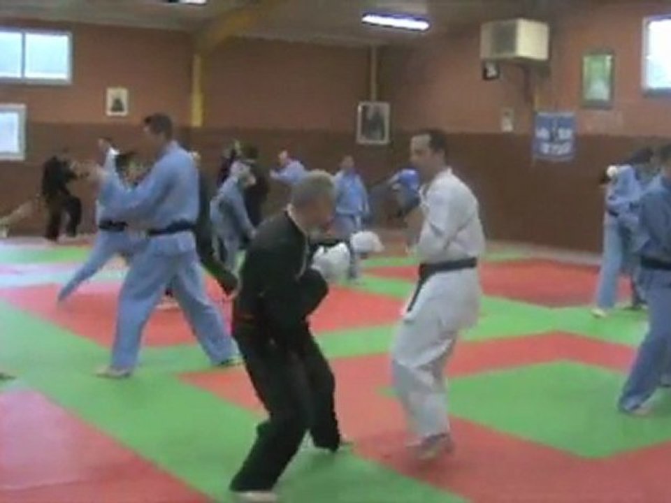 Montage vidéos stage LSVD mars 2011.m4v