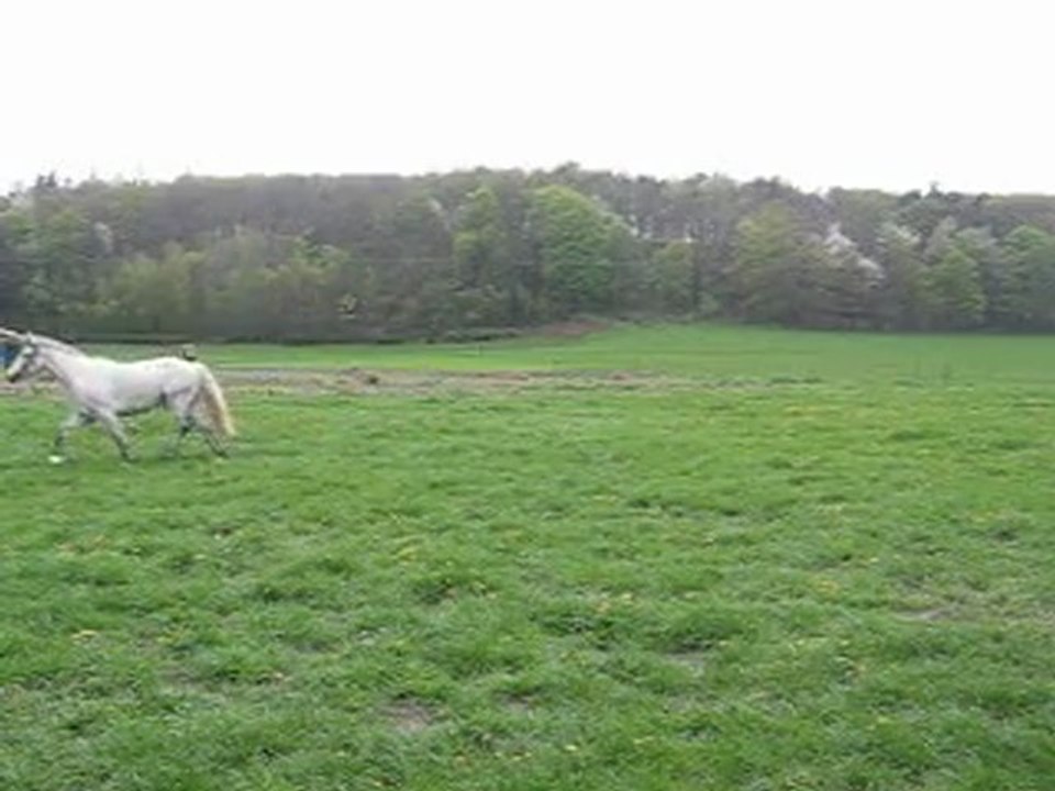 MVI_2878