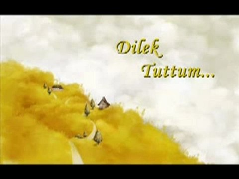 Baha seni sevdim diyenler