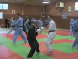 Montage vidéos stage LSVD mars 2011