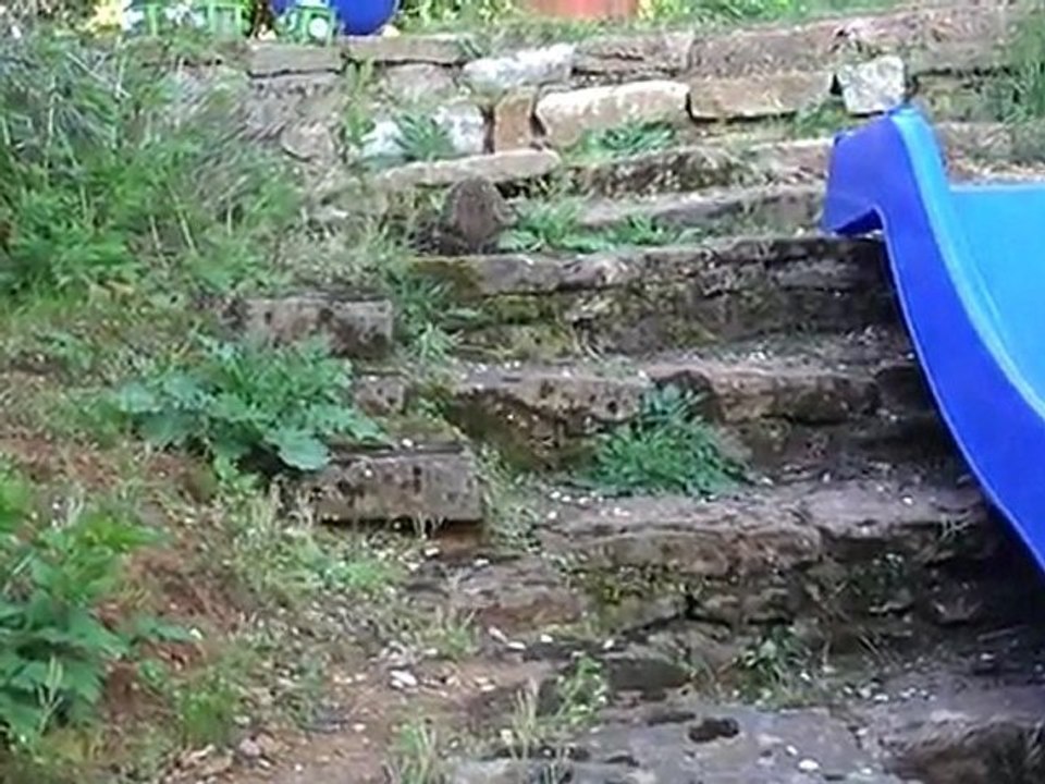 frippon mon les  escaliers