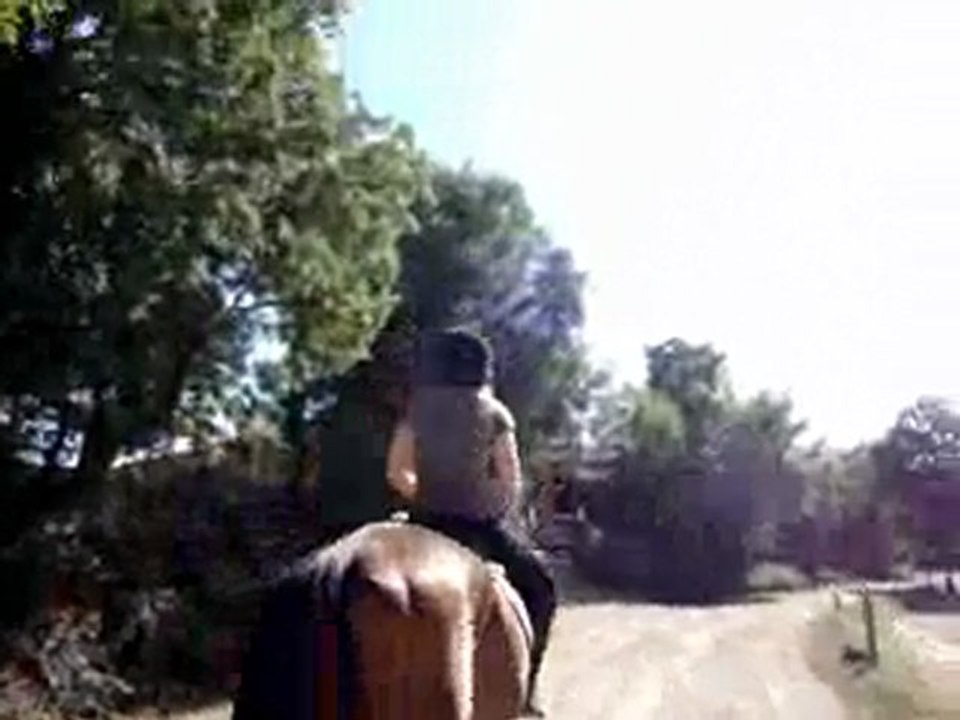 mes premiers pas à dada !!!! hihi !!! ( suite )