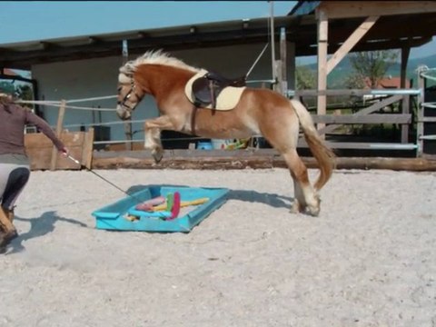 Baïla: ses 1ers parcours...