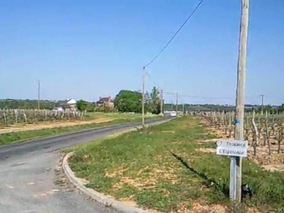 coteau du layon 2011 2