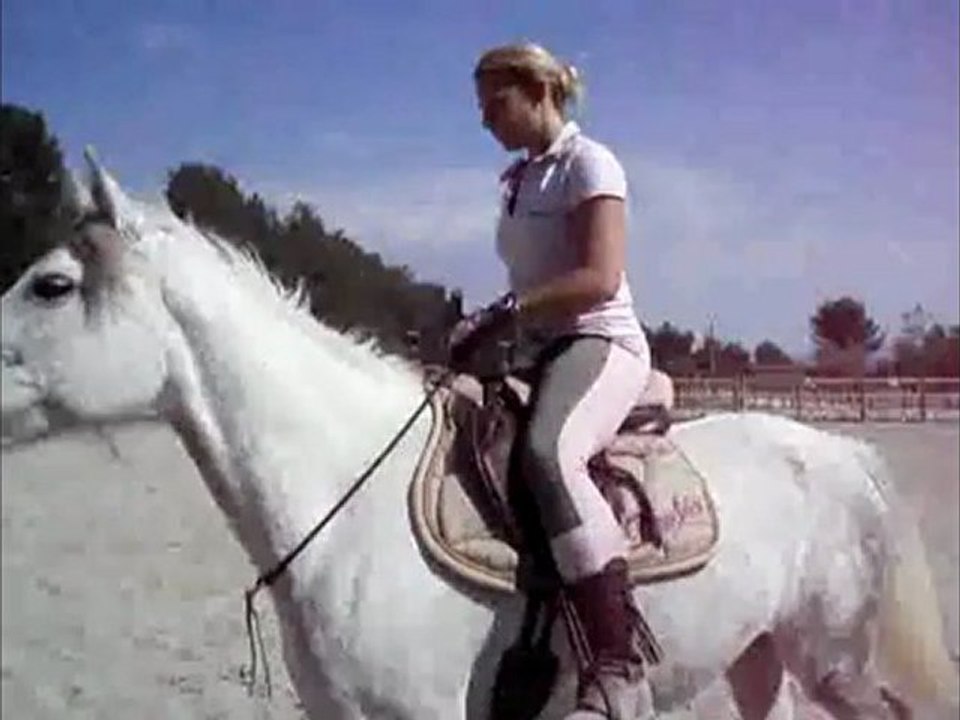 Derbie... suite... monte en liberté, coucher monté....