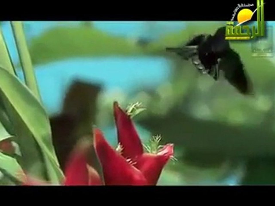 يا من يرى .. مشاهد رائعة
