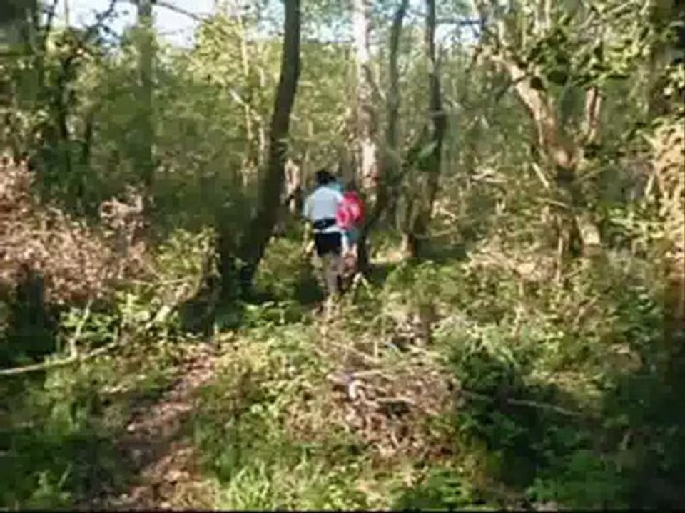 Video-trail2011