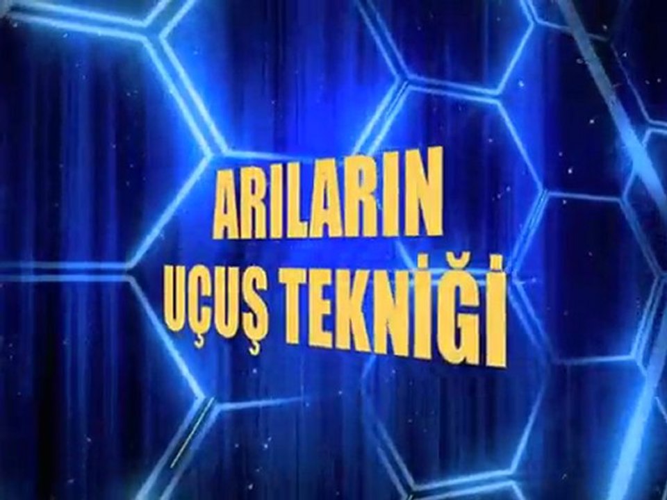 Bal Arısındaki Mucize