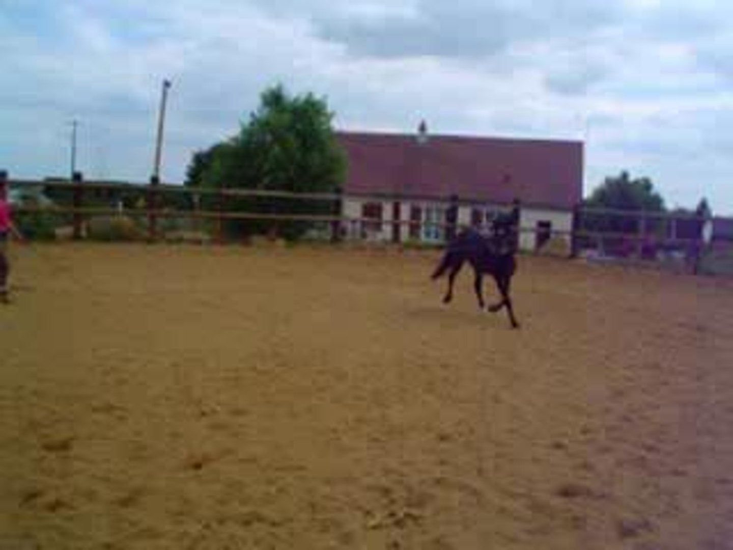 Machno Spartacus