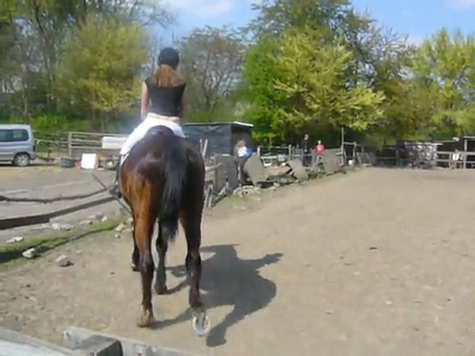 Concours de dressage 11Avril2011 (E5) . Aurore & Cheyenne.