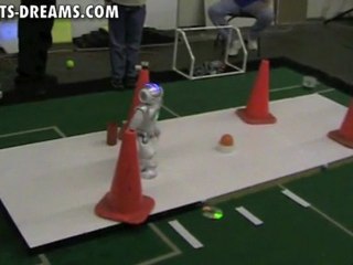 RoboGames 2011 - Autonomous Obstacle Course