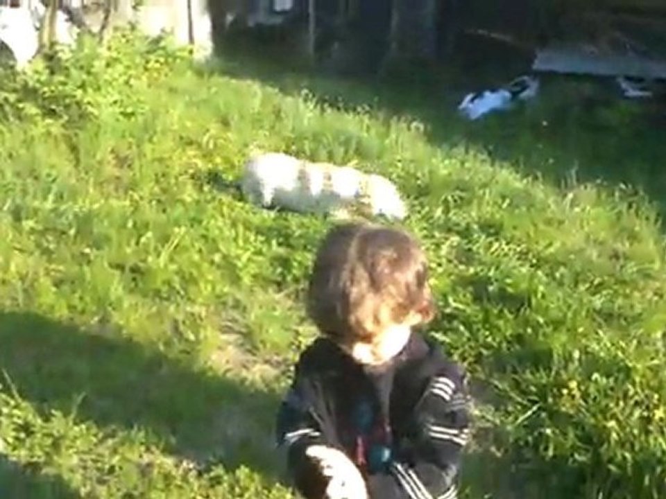 Désinfection totale!