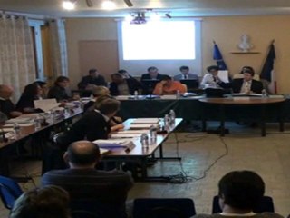 Séance du 25 mars 2011 - Point n° 1