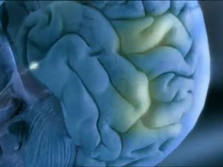 Mon corps ce héros : Les sens - 03/03